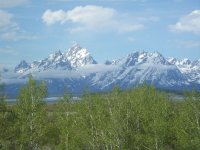 Tetons