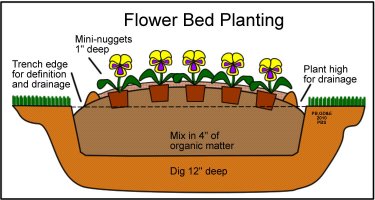 Bed Planting